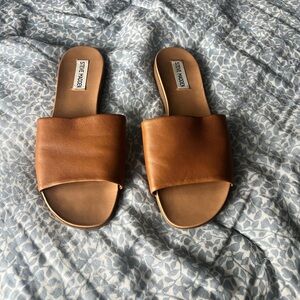 Steve Madden Brown Slide Sandals